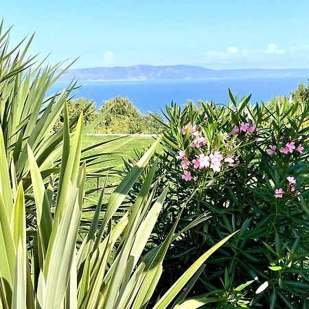 Luxury Panorama Vila With Amazing Seaview In Gondolici 7 Km From Rabac Labin  Esterno foto