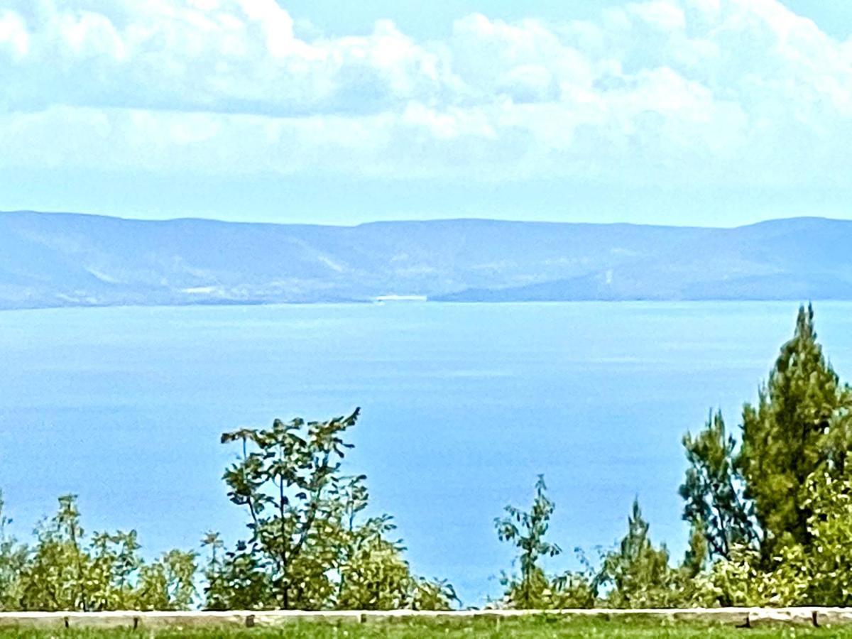 Luxury Panorama Vila With Amazing Seaview In Gondolici 7 Km From Rabac Labin  Esterno foto