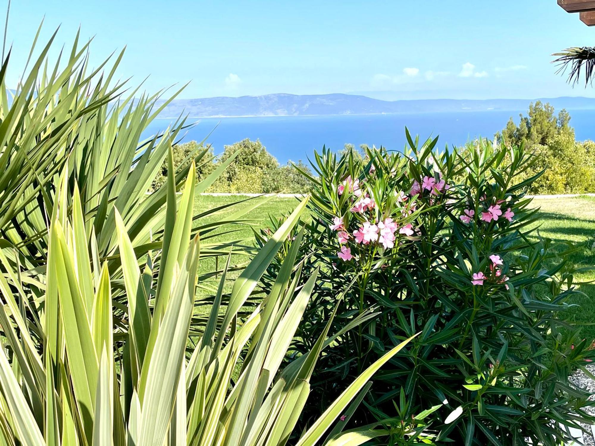 Luxury Panorama Vila With Amazing Seaview In Gondolici 7 Km From Rabac Labin  Esterno foto
